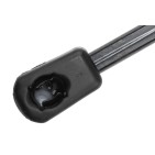 Vérin de Coffre Pour Renault Megane IV 844308399R