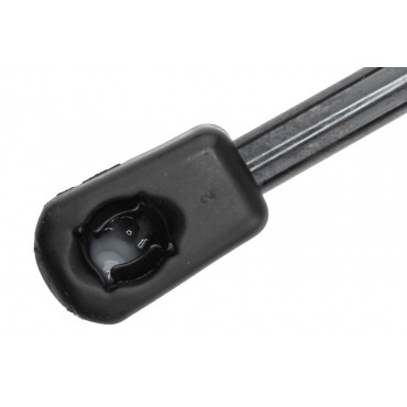 Vérin de Coffre Pour Renault Megane IV 844308399R