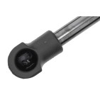 Vérin de Coffre Pour Renault Megane IV 904529546R