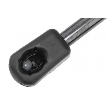 Vérin de Capot Moteur Pour BMW X3 F97 G01 G08 X4 F98 G02 51237397494