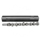 Arbre à Cames Pour Ford Escort IV V VI Fiesta III Mondeo I II Orion 1078426