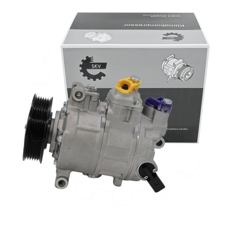 Compresseur de Clim Pour Audi A4 A6 Seat Exeo