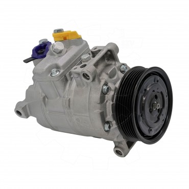 Compresseur de Clim Pour Audi A4 A6 Seat Exeo