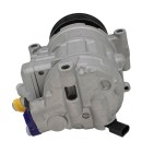 Compresseur de Clim Pour Audi A4 A6 Seat Exeo