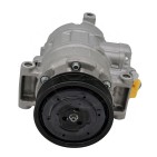 Compresseur de Clim Pour Audi A4 A6 Seat Exeo