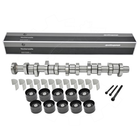 Arbre à Cames Pour VW Multivan V Touareg Transporter 070109101Q