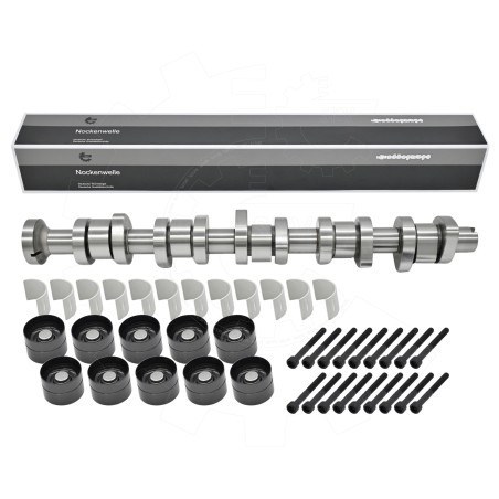 Arbre à Cames Pour VW Multivan V Touareg Transporter 070109101M 070109101P