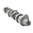 Arbre à Cames Pour VW Passat Audi A4 038109101AF