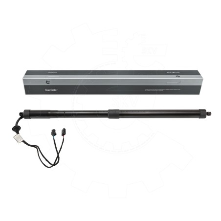 Vérin de Coffre Arrière Gauche Pour Citroën C4 9812130180