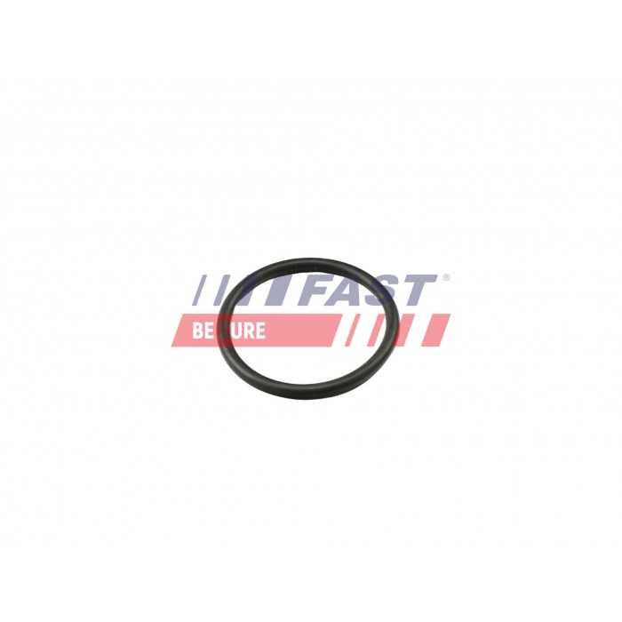 Joint de Tuyau d'Eau Pour Peugeot Fiat Ford Ranger Tourneo Citroën W706722S300