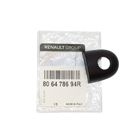 Bouton Cache Poignée de Porte Extérieur Pour Renault Grand Scénic II III