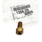 Vis de Purge d'Eau Pour Peugeot 307