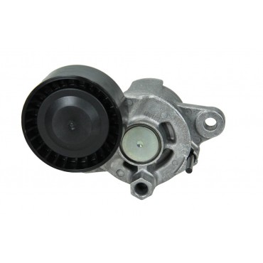 Galet Tendeur Courroie d'Accessoire Pour Peugeot 208 301 Opel Toyota Citroën
