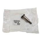 Boulon de Poulie d'Arbre à Cames Pour Peugeot BMW Série 1 F20 Citroën Mini