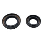 Joint SPI Pour Peugeot 508 3008