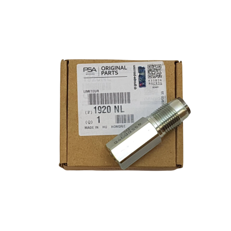 Capteur de Pression Rampe d'Injection Pour Peugeot Ford Transit Citroën 1920NL