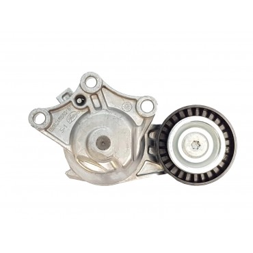 Tendeur de Courroie d'Accessoire Pour Peugeot 208 308 II Citroën DS 1611426180