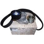 Kit Galet Courroie d'Accessoire Pour Renault Opel Movano Nissan 7701476705