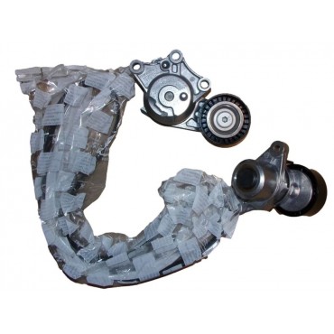 Kit Galet Courroie d'Accessoire Pour Peugeot 208 2008 I Citroën C4 DS3 DS4 DS