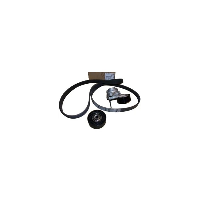 Kit Galet Courroie d'Accessoire Pour Peugeot Boxer Citroën Jumper