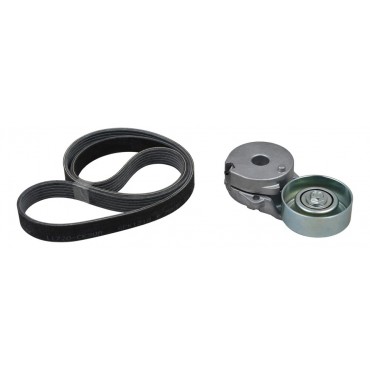 Kit Galet Courroie d'Accessoire Pour Renault Latitude Megane CC Nissan Qashqai