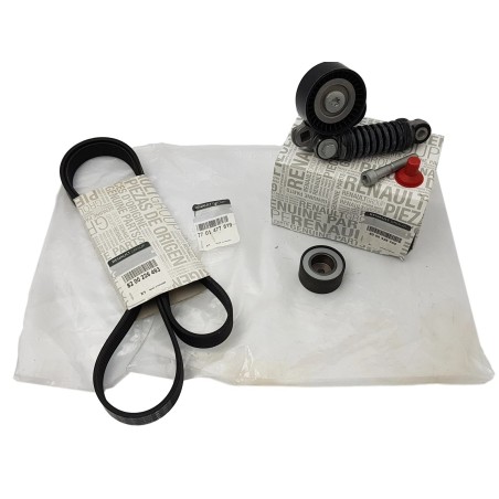 Kit Galet Courroie d'Accessoire Pour Renault Clio II