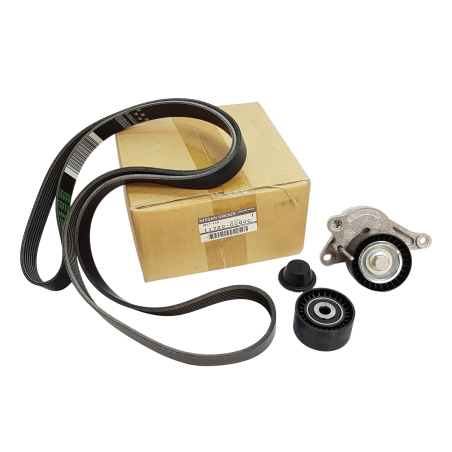 Kit Galet Courroie d'Accessoire Pour Renault Opel Movano B Nissan Vauxhall