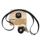 Kit Galet Courroie d'Accessoire Pour Renault Master III Opel Movano B Nissan
