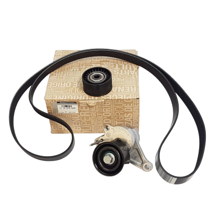 Kit Galet Courroie d'Accessoire Pour Renault Master III Opel Movano B Nissan
