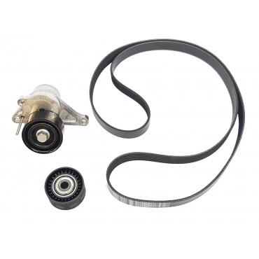 Kit Galet Courroie d'Accessoire Pour Renault Master III Opel Movano B Nissan