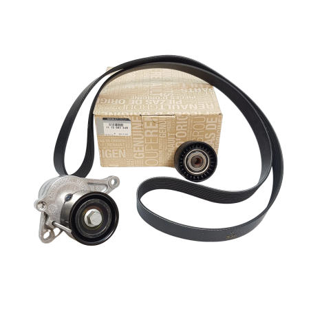Kit Galet Courroie d'Accessoire Pour Renault Opel Fiat Nissan 117200334R