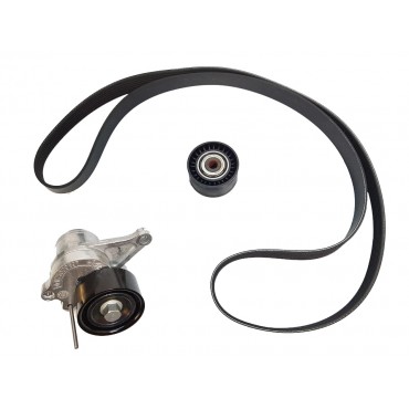 Kit Galet Courroie d'Accessoire Pour Renault Opel Fiat Nissan 117200334R
