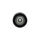 Kit Galet Courroie d'Accessoire Pour Renault Master III