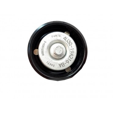 Galet Tendeur Courroie d'Accessoire Pour Peugeot 407 607 Citroën C5 C6