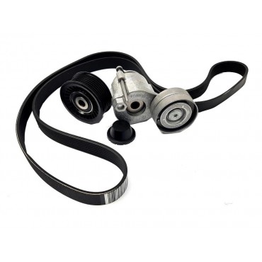 Kit Galet Courroie d'Accessoire Pour Renault Grand Scénic III Megane