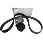 Kit Galet Courroie d'Accessoire Pour Renault Captur Clio II III IV Dacia Nissan