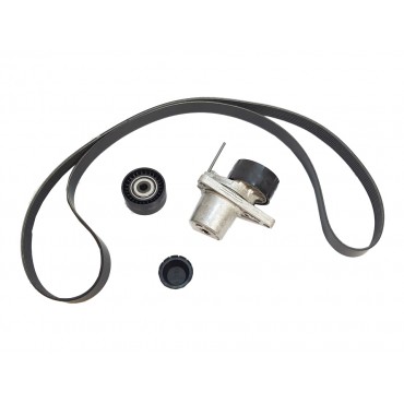 Kit Galet Courroie d'Accessoire Pour Renault Opel Fiat Nissan NV300 117205040R
