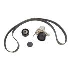 Kit Galet Courroie d'Accessoire Pour Renault Opel Fiat Nissan NV300 117205040R