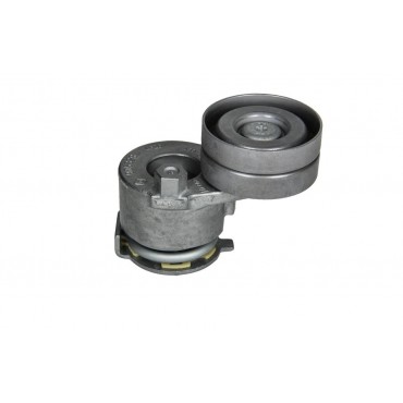 Galet Tendeur Courroie d'Accessoire Pour Renault Clio III Grand Scénic II