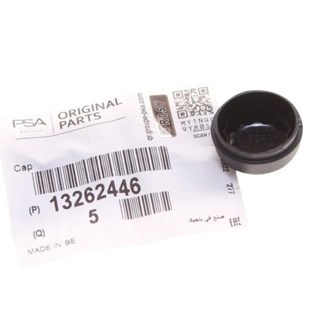 Capuchon Bras d'Essuie Glace Pour Opel Astra K Meriva B