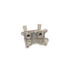 Radiateur d'Huile Moteur Pour Renault Dacia Mercedes-Benz Nissan 213052032R