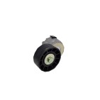 Galet Tendeur Courroie d'Accessoire Pour Fiat Ducato Iveco Daily III IV V VI