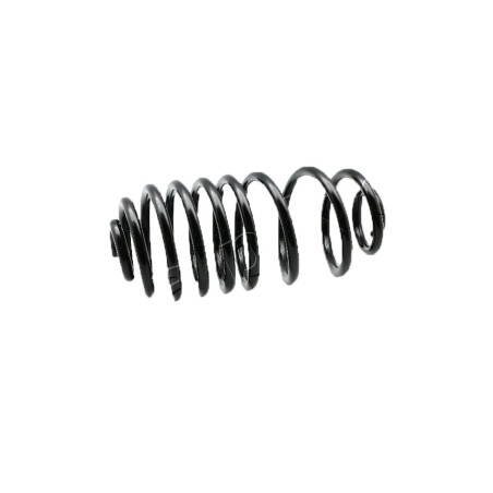 Ressort de Suspension Arrière Pour Renault Kangoo