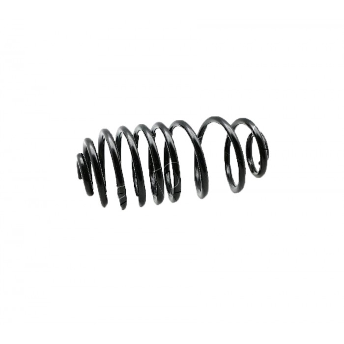 Ressort de Suspension Arrière Pour Renault Kangoo