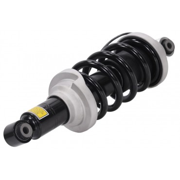 Amortisseur de Suspension Arrière Pour Audi R8 4S0512019B