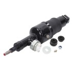 Amortisseur de Suspension Arrière Droit Pour Nissan Armada Infiniti QX56 QX80