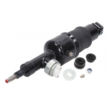 Amortisseur de Suspension Arrière Droit Pour Nissan Armada Infiniti QX56 QX80