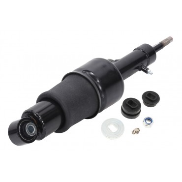 Amortisseur de Suspension Arrière Droit Pour Nissan Armada Infiniti QX56 QX80