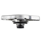 Bouchon de Radiateur Pour Toyota Daewoo Lexus Mazda 121 II 323 P V E-Serie