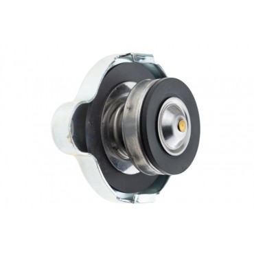 Bouchon de Radiateur Pour Daihatsu Honda Accord I II III IV Civic VI Hyundai Kia